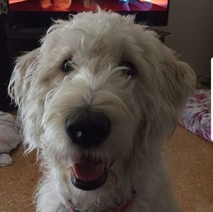 Meet your Posher, Karen